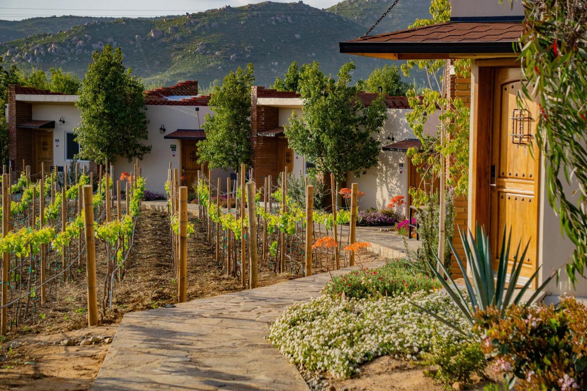 Ojo Azul Resort Valle de Guadalupe Εξωτερικό φωτογραφία